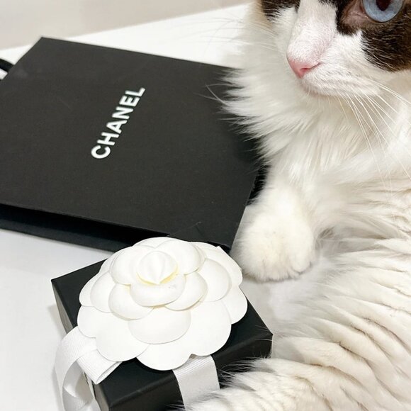 Chanel Double C Earrings - Picture 5 of 5